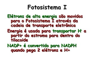 Fotosistema IFotosistema I
Elétrons de alta energiaElétrons de alta energia são movidossão movidos
para o Fotosistema I através dapara o Fotosistema I através da
cadeia de transporte eletrônicacadeia de transporte eletrônica
Energia é usada paraEnergia é usada para transportar Htransportar H++
aa
partir do estroma para dentro dopartir do estroma para dentro do
tilacoidetilacoide
NADP+ é convertido para NADPHNADP+ é convertido para NADPH
quando pega 2 elétrons e H+quando pega 2 elétrons e H+
 