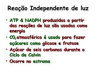 Reação Independente de luzReação Independente de luz
• ATP & NADPHATP & NADPH produzidos a partirproduzidos a partir
das reações de luz são usadas comodas reações de luz são usadas como
energiaenergia
• C0C022 atmosféricoatmosférico é usadoé usado para fazerpara fazer
açúcares comoaçúcares como glicose e frutoseglicose e frutose
• Açúcar de seis carbonos durante oAçúcar de seis carbonos durante o
Ciclo de CalvinCiclo de Calvin
• Ocorre noOcorre no estromaestroma
 