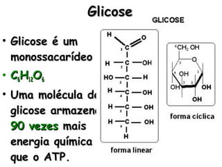 • Glicose é umGlicose é um
monossacarídeomonossacarídeo
• CC66HH1212OO66
• Uma molécula deUma molécula de
glicose armazenaglicose armazena
90 vezes90 vezes maismais
energia químicaenergia química
que o ATP.que o ATP.
GlicoseGlicose
 