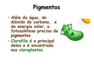 PigmentosPigmentos
• Além da água, do
dióxido de carbono, e
da energia solar, a
fotossíntese precisa de
pigmentos
• Clorofila é o principal
deles e é encontrada
nos cloroplastos
 