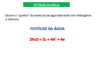 FOTÓLISE DA ÁGUA
Ocorre a “quebra” da molécula de água liberando íons Hidrogênio
e elétrons.
 