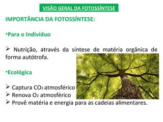 VISÃO GERAL DA FOTOSSÍNTESE
IMPORTÂNCIA DA FOTOSSÍNTESE:
•Para o Indivíduo
 Nutrição, através da síntese de matéria orgânica de
forma autótrofa.
•Ecológica
 Captura CO2 atmosférico
 Renova O2 atmosférico
 Provê matéria e energia para as cadeias alimentares.
 