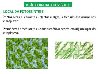 VISÃO GERAL DA FOTOSSÍNTESE
LOCAL DA FOTOSSÍNTESE
 Nos seres eucariontes (plantas e algas) a fotossíntese ocorre nos
cloroplastos.
Nos seres procariontes (cianobactérias) ocorre em algum lugar do
citoplasma.
 