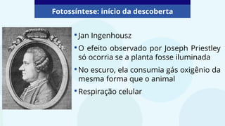 •Jan Ingenhousz
•O efeito observado por Joseph Priestley
só ocorria se a planta fosse iluminada
•No escuro, ela consumia gás oxigênio da
mesma forma que o animal
•Respiração celular
Fotossíntese: início da descoberta
 