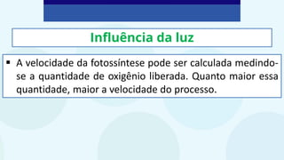 Influência da luz
▪ A velocidade da fotossíntese pode ser calculada medindo-
se a quantidade de oxigênio liberada. Quanto maior essa
quantidade, maior a velocidade do processo.
 