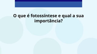 O que é fotossíntese e qual a sua
importância?
 