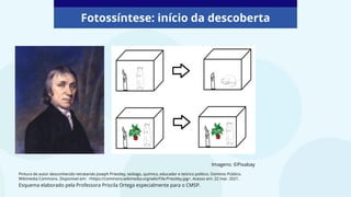 Pintura de autor desconhecido retratando Joseph Priestley, teólogo, químico, educador e teórico político. Domínio Público.
Wikimedia Commons. Disponível em: <https://commons.wikimedia.org/wiki/File:Priestley.jpg>. Acesso em: 22 mar. 2021.
Fotossíntese: início da descoberta
Imagens: ©Pixabay
Esquema elaborado pela Professora Priscila Ortega especialmente para o CMSP.
 
