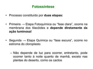 Aula sobre fotossíntese fase clara e escura | PPT