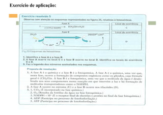 Exercício de aplicação:
 