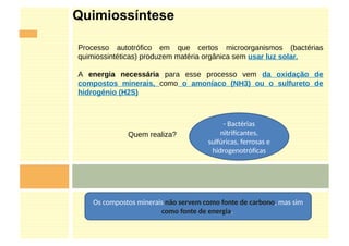 Quimiossíntese
Processo autotrófico em que certos microorganismos (bactérias
quimiossintéticas) produzem matéria orgânica sem usar luz solar.
A energia necessária para esse processo vem da oxidação de
compostos minerais, como o amoníaco (NH3) ou o sulfureto de
hidrogénio (H2S)
Quem realiza?
- Bactérias
nitrificantes,
sulfúricas, ferrosas e
hidrogenotróficas
Os compostos minerais não servem como fonte de carbono, mas sim
como fonte de energia.
 