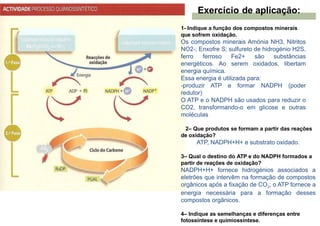 1- Indique a função dos compostos minerais
que sofrem oxidação.
Os compostos minerais Amónia NH3, Nitritos
NO2-; Enxofre S; sulfureto de hidrogénio H2S,
ferro ferroso Fe2+ são substâncias
energéticos. Ao serem oxidados, libertam
energia química.
Essa energia é utilizada para:
-produzir ATP e formar NADPH (poder
redutor)
O ATP e o NADPH são usados para reduzir o
CO2, transformando-o em glicose e outras
moléculas
2– Que produtos se formam a partir das reações
de oxidação?
ATP, NADPH+H+ e substrato oxidado.
3– Qual o destino do ATP e do NADPH formados a
partir de reações de oxidação?
NADPH+H+ fornece hidrogénios associados a
eletrões que intervêm na formação de compostos
orgânicos após a fixação de CO2; o ATP fornece a
energia necessária para a formação desses
compostos orgânicos.
4– Indique as semelhanças e diferenças entre
fotossíntese e quimiossíntese.
Exercício de aplicação:
 