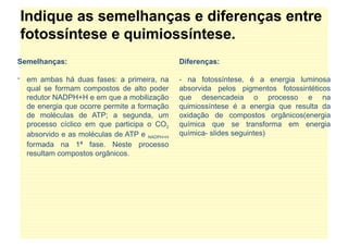 Indique as semelhanças e diferenças entre
fotossíntese e quimiossíntese.
Semelhanças:
- em ambas há duas fases: a primeira, na
qual se formam compostos de alto poder
redutor NADPH+H e em que a mobilização
de energia que ocorre permite a formação
de moléculas de ATP; a segunda, um
processo cíclico em que participa o CO2
absorvido e as moléculas de ATP e NADPH+H
formada na 1ª fase. Neste processo
resultam compostos orgânicos.
Diferenças:
- na fotossíntese, é a energia luminosa
absorvida pelos pigmentos fotossintéticos
que desencadeia o processo e na
quimiossíntese é a energia que resulta da
oxidação de compostos orgânicos(energia
química que se transforma em energia
química- slides seguintes)
 