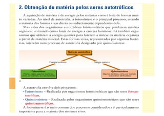 Processo da Fotossíntese versus quimiossíntese