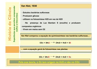História
da
Ciência
Experiências
que
permitem
compreender
melhor
a
fotossíntese
CO2 + 2H2S CH2O + H2O + 2S
Van Niel, 1930
- Estudou bactérias sulfurosas
- Produzem glicose
- utilizam na fotossíntese H2S em vez de H2O
-Na presença de Luz libertam S (enxofre) e produzem
compostos orgânicos
- Vivem em meios sem O2
Van Niel comparou a equação da quimiossíntese nas bactérias sulfurosas…
… com a equação geral da fotossíntese nas plantas:
CO2 + 2H2O CH2O + H2O + O2
Pela sua teoria, o O2 tem origem na H2O e não no CO2
 