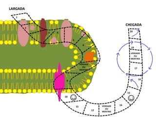 LARGADA

   1


                                                                      CHEGADA
          2
              3   4                                                    20


                           5
                                      6
                                                                           19

                                                                           VERDADE
                                                                             OU
                                                   7                       MENTIRA

                                    VERDADE
                                      OU
                                                                                17
                                    MENTIRA



                                                                                     16
                       9



                                                                      15
                      10


                                                       VERDADE   14
                               11
                                                         OU
                                              12       MENTIRA
 