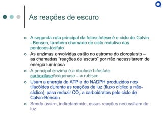 As reações de escuro 
A segunda rota principal da fotossíntese é o ciclo de Calvin –Benson, também chamado de ciclo redutivo das pentoses-fosfato 
As enzimas envolvidas estão no estroma do cloroplasto – as chamadas “reações de escuro” por não necessitarem de energia luminosa 
A principal enzima é a ribulose bifosfato carboxilase/oxigenase – a rubisco 
Usam a energia do ATP e do NADPH produzidos nos tilacóides durante as reações de luz (fluxo cíclico e não- cíclico), para reduzir CO2 a carboidratos pelo ciclo de Calvin-Benson 
Sendo assim, indiretamente, essas reações necessitam de luz  