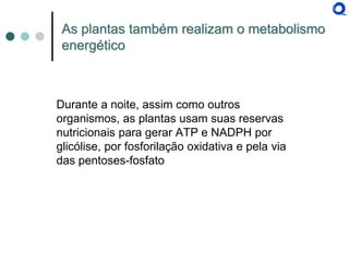 As plantas também realizam o metabolismo energético 
Durante a noite, assim como outros organismos, as plantas usam suas reservas nutricionais para gerar ATP e NADPH por glicólise, por fosforilação oxidativa e pela via das pentoses-fosfato  