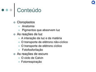 Conteúdo 
Cloroplastos 
 Anatomia 
 Pigmentos que absorvem luz 
As reações de luz 
A interação da luz e da matéria 
O transporte de elétrons não-cíclico 
O transporte de elétrons cíclico 
 Fotofosforilação 
As reações de escuro 
O ciclo de Calvin 
Fotorrespiração  