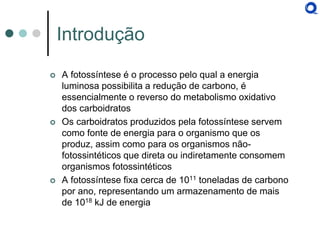 Introdução 
A fotossíntese é o processo pelo qual a energia luminosa possibilita a redução de carbono, é essencialmente o reverso do metabolismo oxidativo dos carboidratos 
Os carboidratos produzidos pela fotossíntese servem como fonte de energia para o organismo que os produz, assim como para os organismos não- fotossintéticos que direta ou indiretamente consomem organismos fotossintéticos 
A fotossíntese fixa cerca de 1011 toneladas de carbono por ano, representando um armazenamento de mais de 1018 kJ de energia  