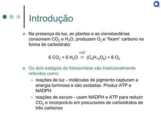Na presença da luz, as plantas e as cianobactérias consomem CO2 e H2O, produzem O2 e “fixam” carbono na forma de carboidrato: 
LUZ 
6 CO2 + 6 H2O  (C6H12O6) + 6 O2 
Os dois estágios da fotossíntese são tradicionalmente referidos como: 
reações de luz - moléculas de pigmento capturam a energia luminosa e são oxidadas. Produz ATP e NADPH 
reações de escuro - usam NADPH e ATP para reduzir CO2 e incorporá-lo em precursores de carboidratos de três carbonos 
Introdução  