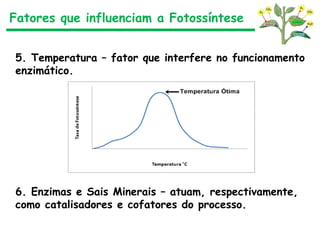 Fatores que influenciam a Fotossíntese
5. Temperatura – fator que interfere no funcionamento
enzimático.
6. Enzimas e Sais Minerais – atuam, respectivamente,
como catalisadores e cofatores do processo.
 