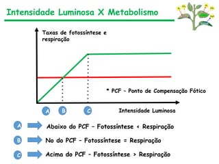 Intensidade Luminosa X Metabolismo
Taxas de fotossíntese e
respiração
Intensidade Luminosa
A B C
A Abaixo do PCF – Fotossíntese ‹ Respiração
B No do PCF – Fotossíntese = Respiração
C Acima do PCF – Fotossíntese › Respiração
* PCF – Ponto de Compensação Fótico
 