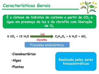 Características Gerais
É a síntese de hidratos de carbono a partir de CO2 e
água em presença da luz e da clorofila com liberação
de O2.
6 CO2 + 12 H2O C6H12O6 + 6 H2O + 6O2
Luz
Clorofila
Processo endotérmico
Realizada pelos seres
fotoautotróficos
•Cianobactérias
•Algas
•Plantas
 