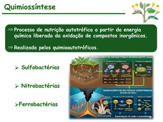 Quimiossíntese
⮚ Sulfobactérias
⮚ Nitrobactérias
⮚Ferrobactérias
Þ Processo de nutrição autotrófica a partir da energia
química liberada da oxidação de compostos inorgânicos.
Þ Realizada pelos quimioautotróficos..
 