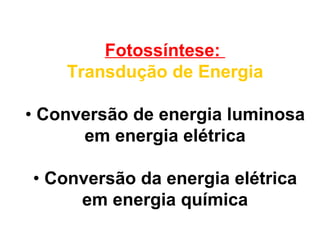 Fotossíntese:
    Transdução de Energia

• Conversão de energia luminosa
      em energia elétrica

• Conversão da energia elétrica
     em energia química
 