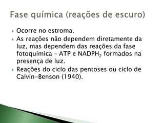  Ocorre no estroma.
 As reações não dependem diretamente da
luz, mas dependem das reações da fase
fotoquímica – ATP e NADPH2 formados na
presença de luz.
 Reações do ciclo das pentoses ou ciclo de
Calvin-Benson (1940).
 
