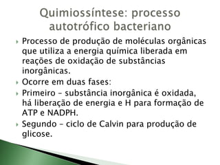  Processo de produção de moléculas orgânicas
que utiliza a energia química liberada em
reações de oxidação de substâncias
inorgânicas.
 Ocorre em duas fases:
 Primeiro – substância inorgânica é oxidada,
há liberação de energia e H para formação de
ATP e NADPH.
 Segundo – ciclo de Calvin para produção de
glicose.
 