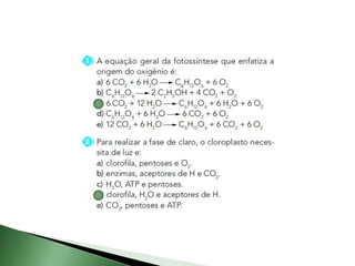 Fotossíntese e quimiossíntese