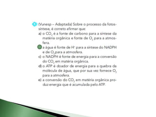 Fotossíntese e quimiossíntese