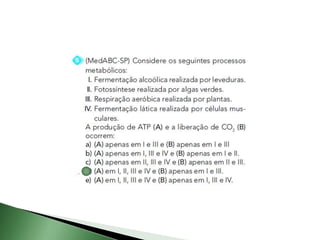 Fotossíntese e quimiossíntese