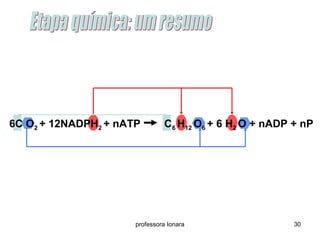 6C O2 + 12NADPH2 + nATP C6 H12 O6 + 6 H2 O + nADP + nP 
professora Ionara 30 
 