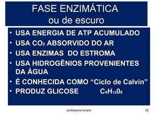FASE ENZIMÁTICA 
ou de escuro 
• USA ENERGIA DE ATP ACUMULADO 
• USA CO2 ABSORVIDO DO AR 
• USA ENZIMAS DO ESTROMA 
• USA HIDROGÊNIOS PROVENIENTES 
DA ÁGUA 
• É CONHECIDA COMO “Ciclo de Calvin” 
• PRODUZ GLICOSE C6H1206 
professora Ionara 32 
 