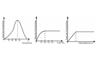 2S- Fotossíntese fatores limitantes out 2014
