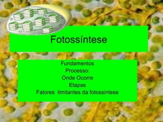 Fotossíntese 
Fundamentos 
Processo: 
Onde Ocorre 
Etapas 
Fatores limitantes da fotossintese 
 