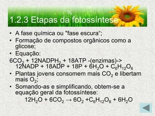 1.2.3 Etapas da fotossíntese
• A fase química ou "fase escura“;
• Formação de compostos orgânicos como a
glicose;
• Equação:
6CO2 + 12NADPH2 + 18ATP -(enzimas)->
12NADP + 18ADP + 18P + 6H2O + C6H12O6
• Plantas jovens consomem mais CO2 e libertam
mais O2;
• Somando-as e simplificando, obtem-se a
equação geral da fotossíntese:
12H2O + 6CO2 → 6O2 +C6H12O6 + 6H2O
 