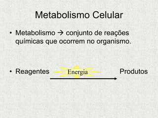 Metabolismo Celular
• Metabolismo  conjunto de reações
químicas que ocorrem no organismo.
• Reagentes Produtos
Energia
 