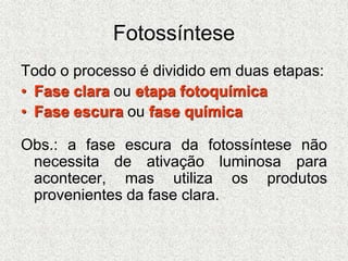 Fotossíntese
Todo o processo é dividido em duas etapas:
• Fase clara ou etapa fotoquímica
• Fase escura ou fase química
Obs.: a fase escura da fotossíntese não
necessita de ativação luminosa para
acontecer, mas utiliza os produtos
provenientes da fase clara.
 