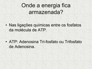 Onde a energia fica
armazenada?
• Nas ligações químicas entre os fosfatos
da molécula de ATP.
• ATP: Adenosina Tri-fosfato ou Trifosfato
de Adenosina.
 