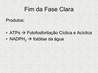 Fim da Fase Clara
Produtos:
• ATPs  Fotofosforilação Cíclica e Acíclica
• NADPH2  fotólise da água
 