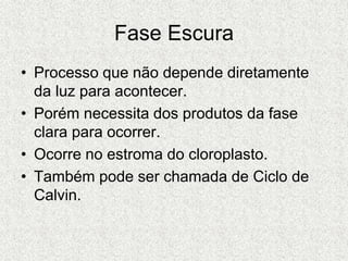Fase Escura
• Processo que não depende diretamente
da luz para acontecer.
• Porém necessita dos produtos da fase
clara para ocorrer.
• Ocorre no estroma do cloroplasto.
• Também pode ser chamada de Ciclo de
Calvin.
 