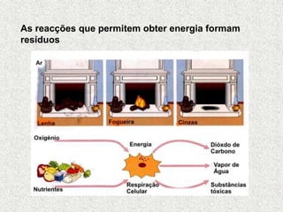 As reacções que permitem obter energia formam
resíduos
 