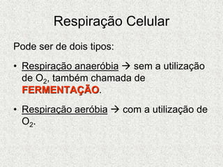 Respiração Celular
Pode ser de dois tipos:
• Respiração anaeróbia  sem a utilização
de O2, também chamada de
FERMENTAÇÃO.
• Respiração aeróbia  com a utilização de
O2.
 