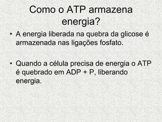 Como o ATP armazena
energia?
• A energia liberada na quebra da glicose é
armazenada nas ligações fosfato.
• Quando a célula precisa de energia o ATP
é quebrado em ADP + P, liberando
energia.
 