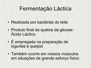 Fermentação Láctica
• Realizada por bactérias do leite
• Produto final da quebra da glicose:
Ácido Láctico.
• É empregada na preparação de
iogurtes e queijos
• Também ocorre em nossos músculos
em situações de grande esforço físico
 