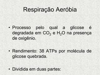 Respiração Aeróbia
• Processo pelo qual a glicose é
degradada em CO2 e H2O na presença
de oxigênio.
• Rendimento: 38 ATPs por molécula de
glicose quebrada.
• Dividida em duas partes:
 