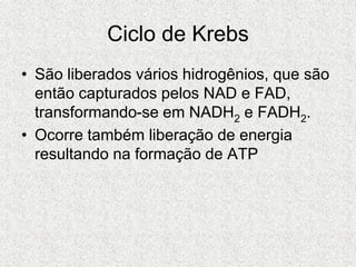 Ciclo de Krebs
• São liberados vários hidrogênios, que são
então capturados pelos NAD e FAD,
transformando-se em NADH2 e FADH2.
• Ocorre também liberação de energia
resultando na formação de ATP
 